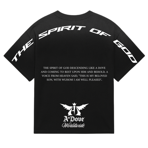 The Spirit Of God - Garment Dyed T-Shirt