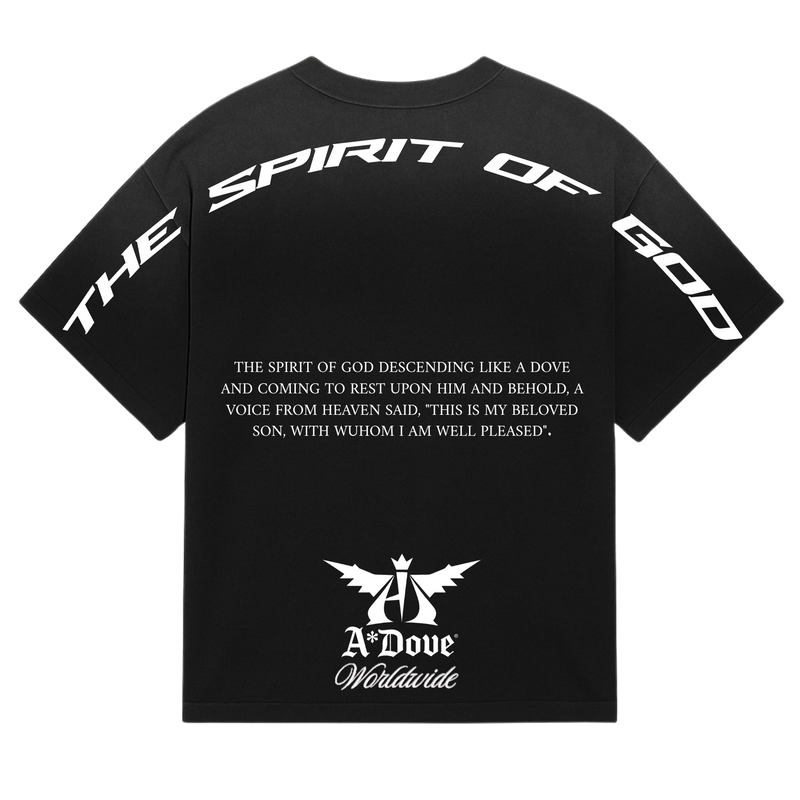 The Spirit Of God - Garment Dyed T-Shirt
