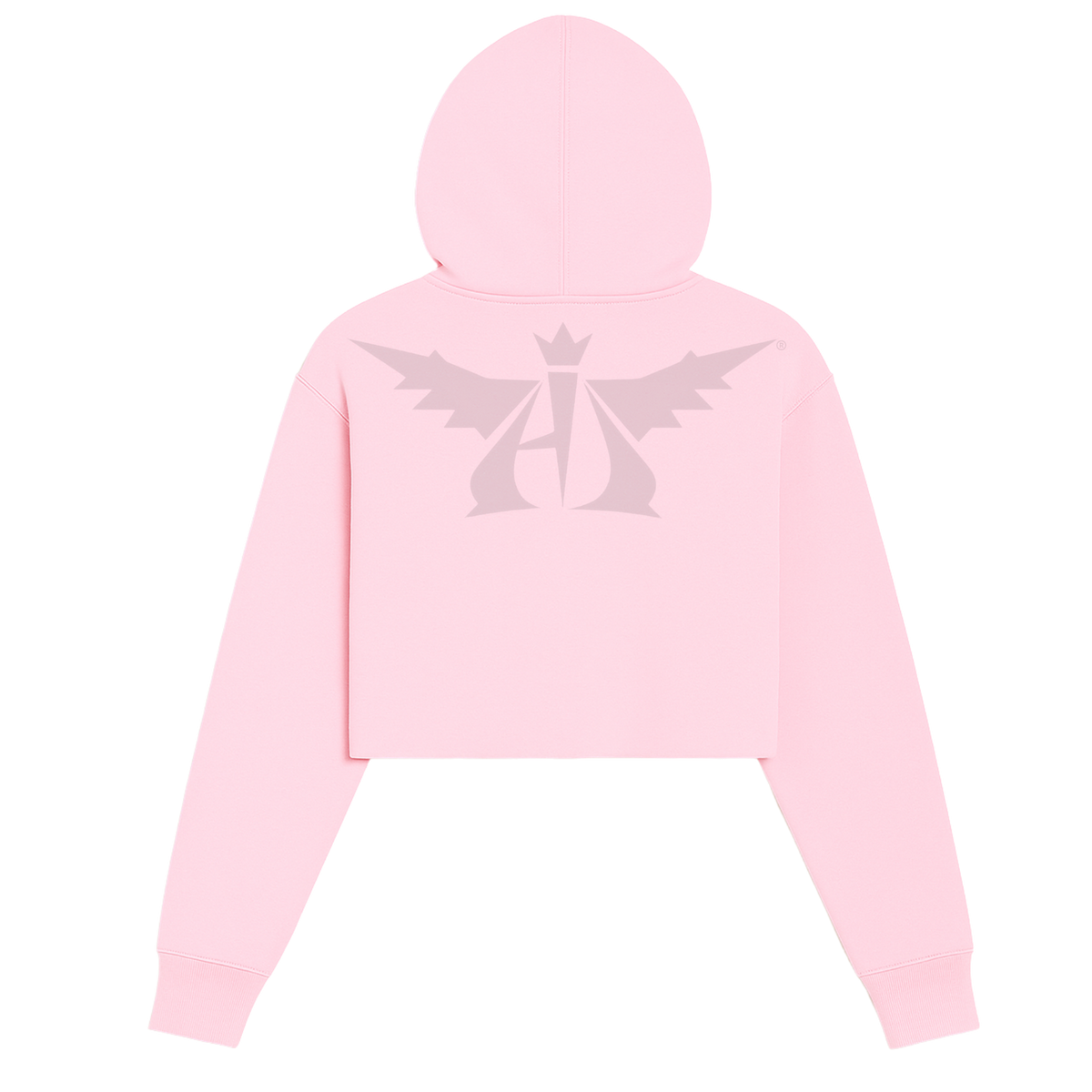 Adove God Is In Control Crop Hoodie