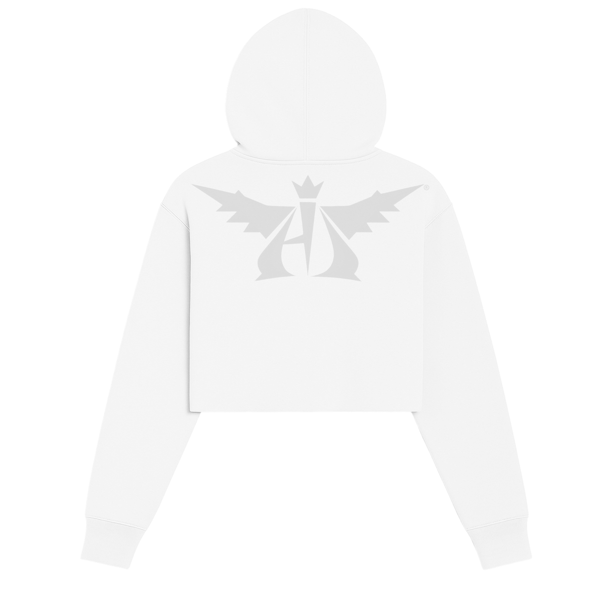 Adove God Is In Control Crop Hoodie