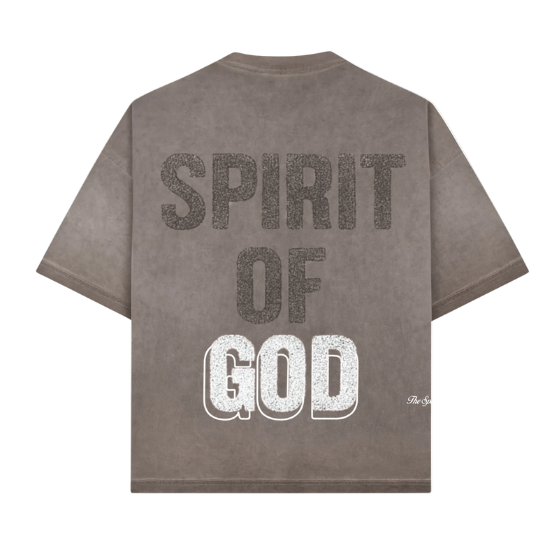 A*Dove Spirit Of God Heavy Tee